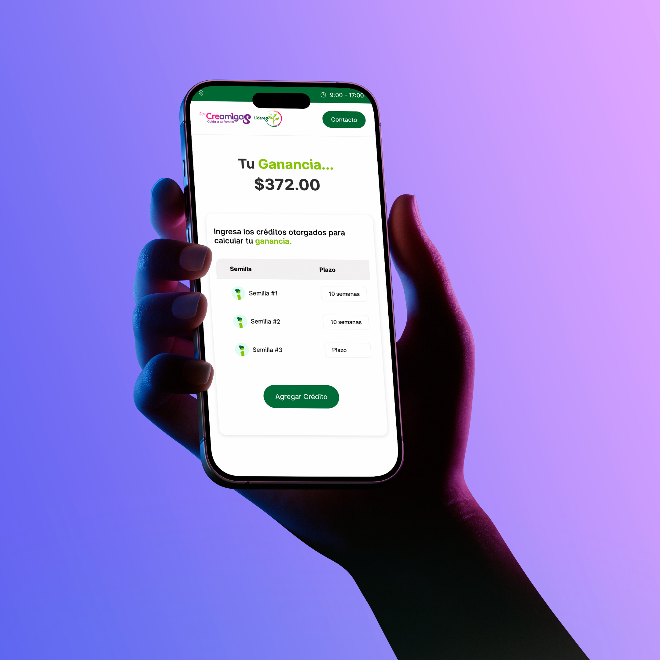 Portafolio Creamigas, Desarrollo Web Veracruz