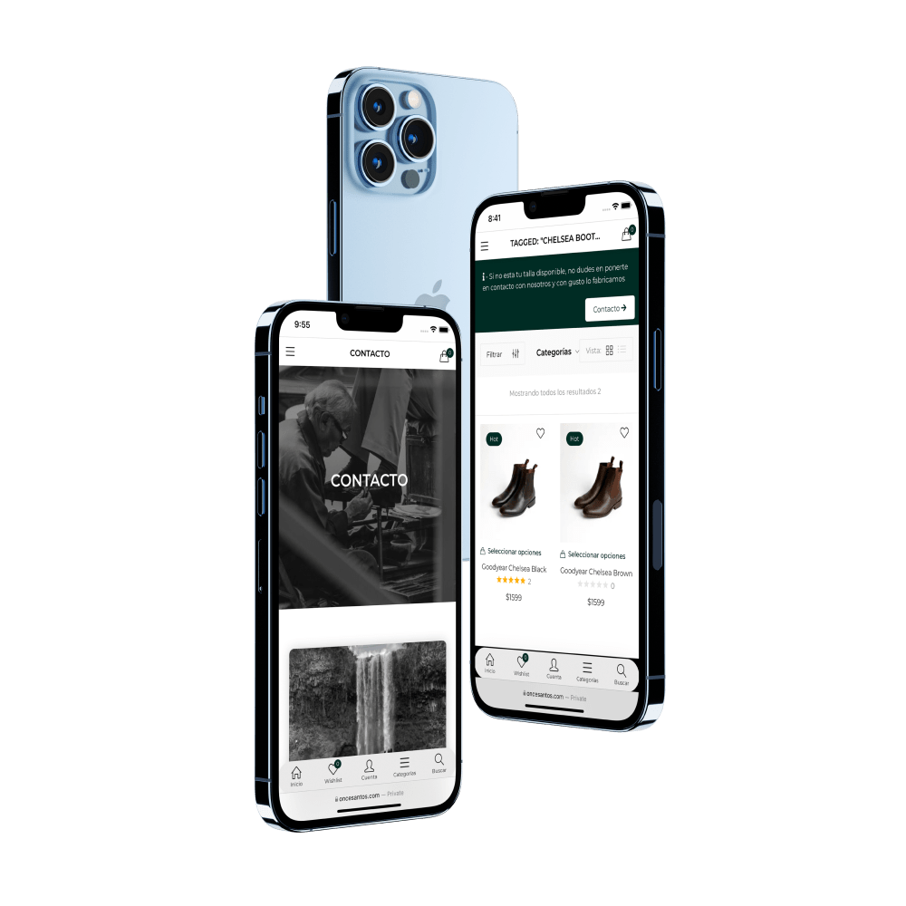 Diseño Web Veracruz