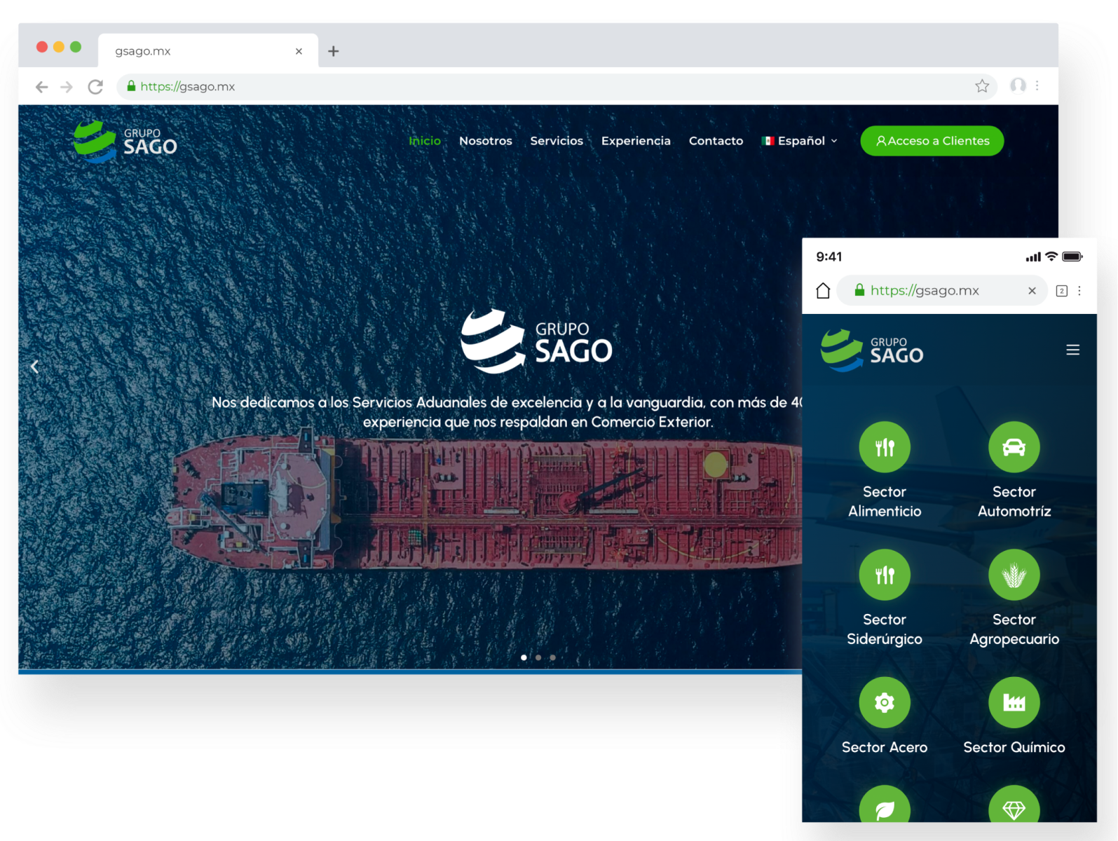 Diseño Web Veracruz